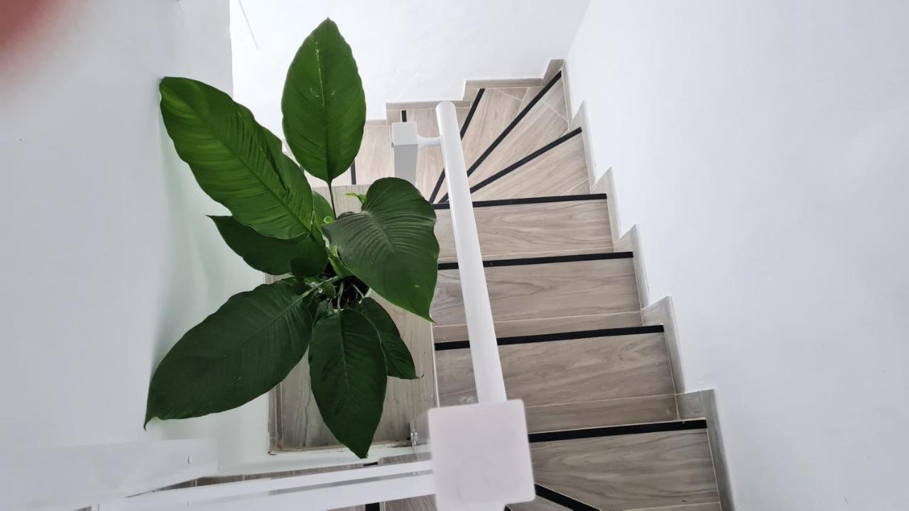 Apartamento Jameo Apartment Punta Mujeres ภายนอก รูปภาพ